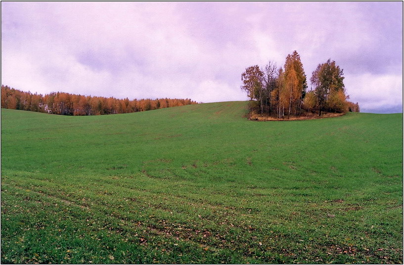 осень и поле