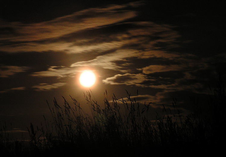 Гадзiна да сьвiтання