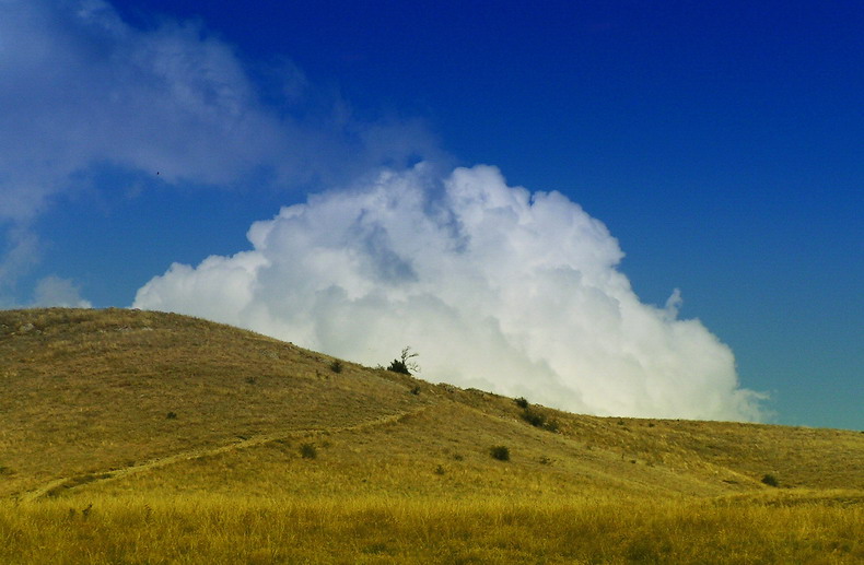 Белая Корона