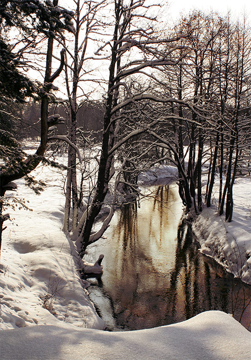 весны отраженье