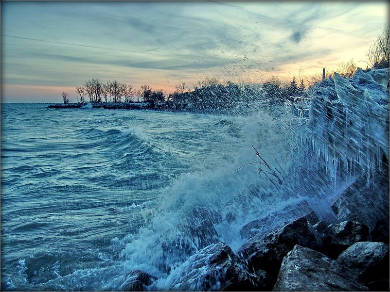братка Антарыё сердзіццо