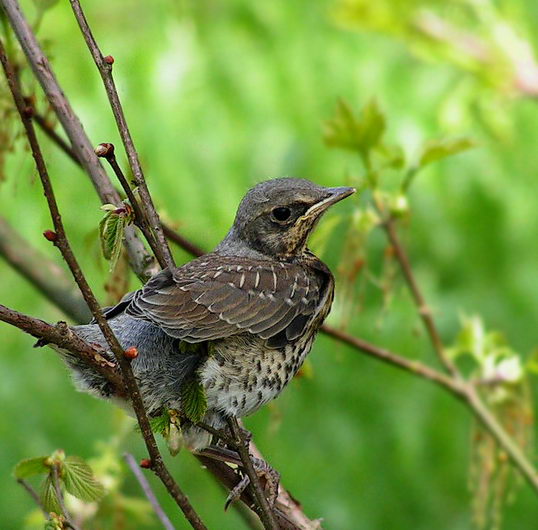Неравнодушный к фотографии