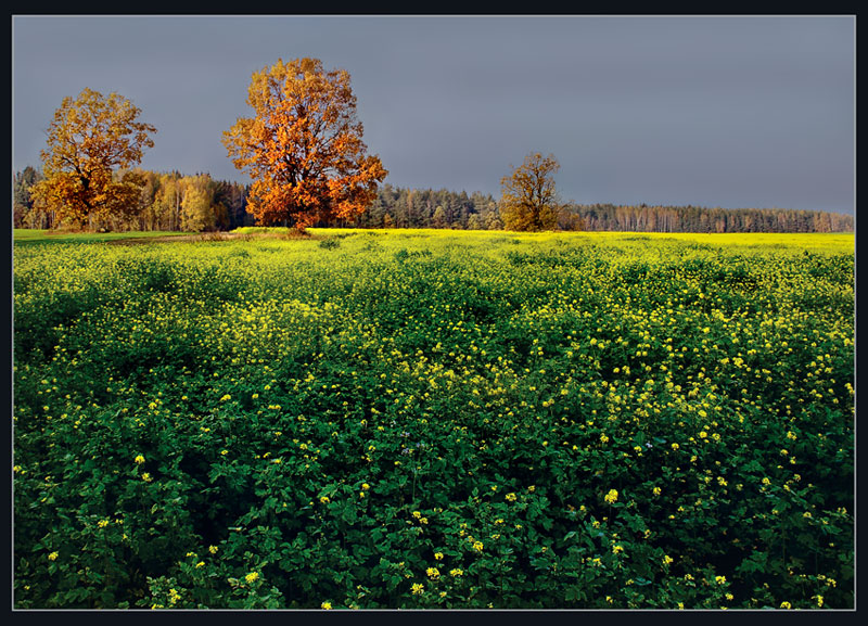 Уж небо осенью дышало...