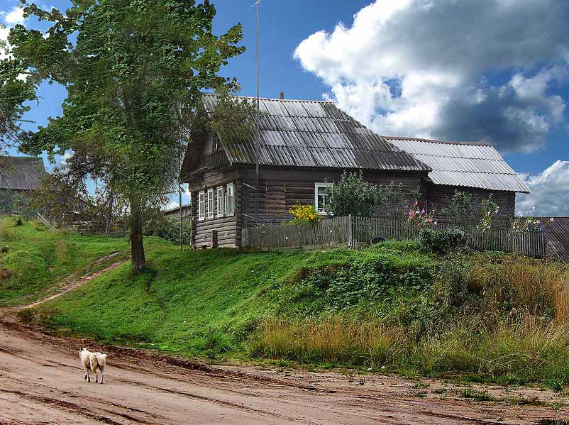 Дом на пригорке