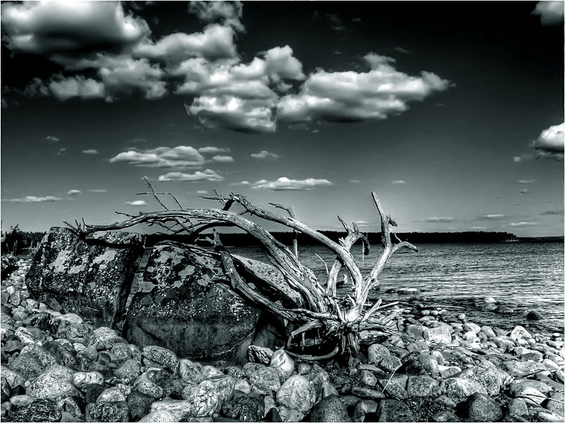 Суровый край