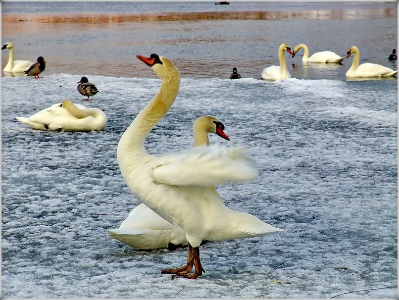 бадай, заседзелася я тут з табой, кума...