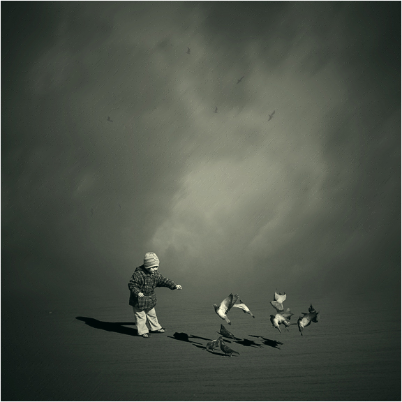 птичка птичка! ..