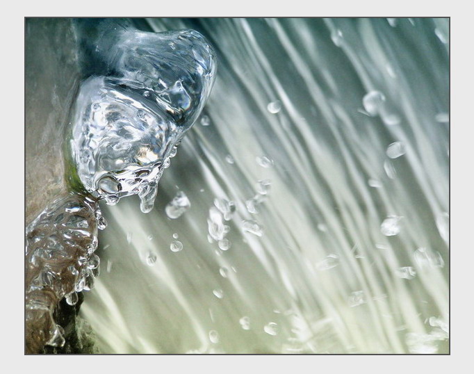 Чакаючы, каб сфатаграфаваць ласося