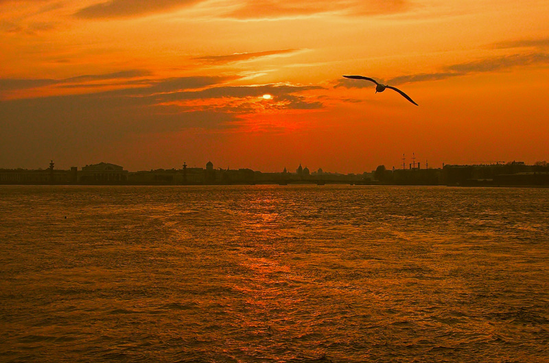 медь заката...