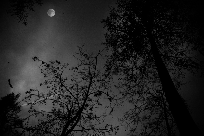 спокойного сна