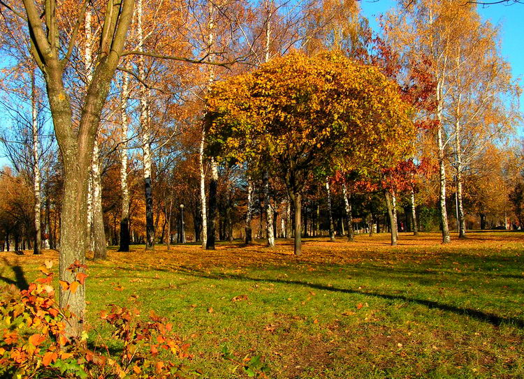 Осень в сквере
