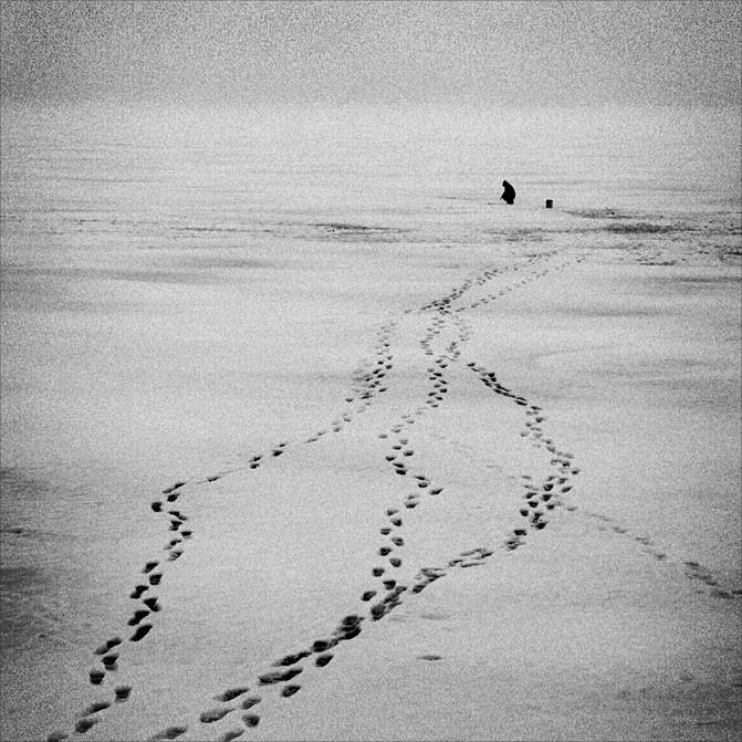 один ( приглашаю на выставку )