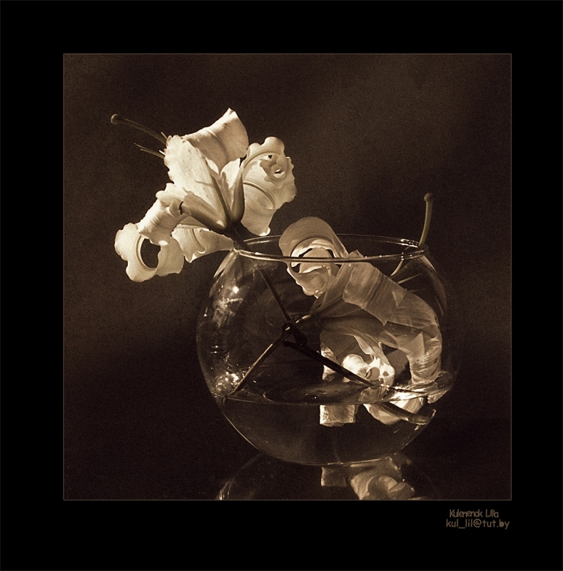 Прекрастно лилий увядание....