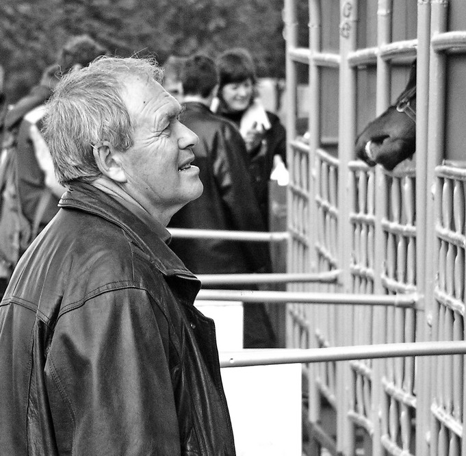 Разговор с парнокопытным