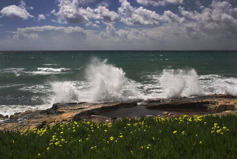 Весенний шум