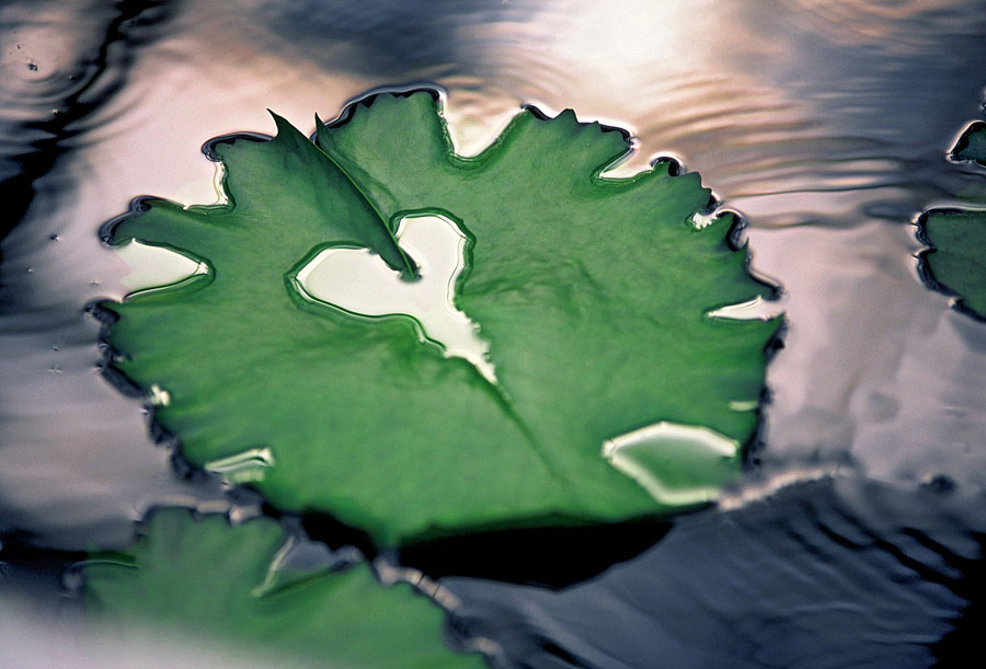 Простые образы