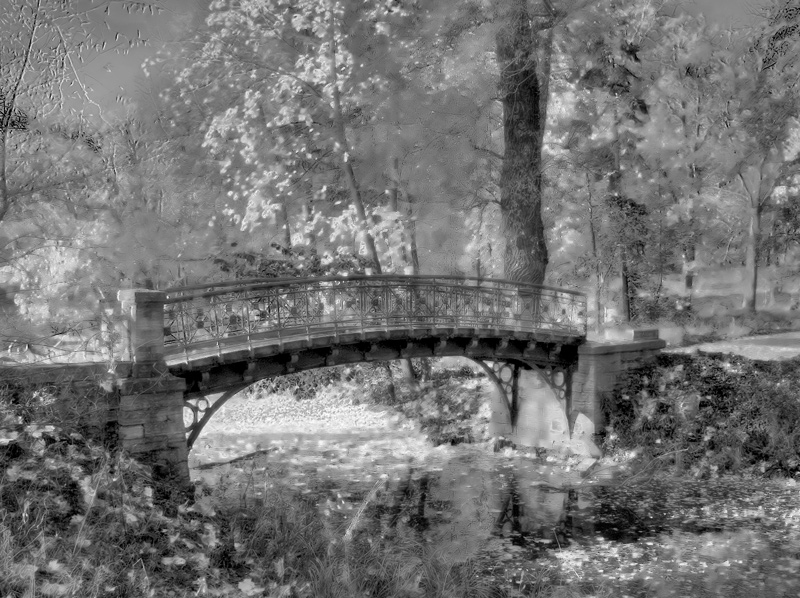 из осенней сказки...