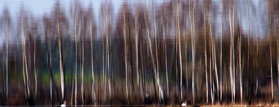 *этюд весенний*