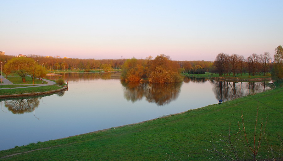 Нерухомая гладзь Камсы