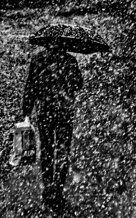 *погода на сегодня*