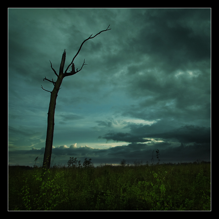 в поисках сна...