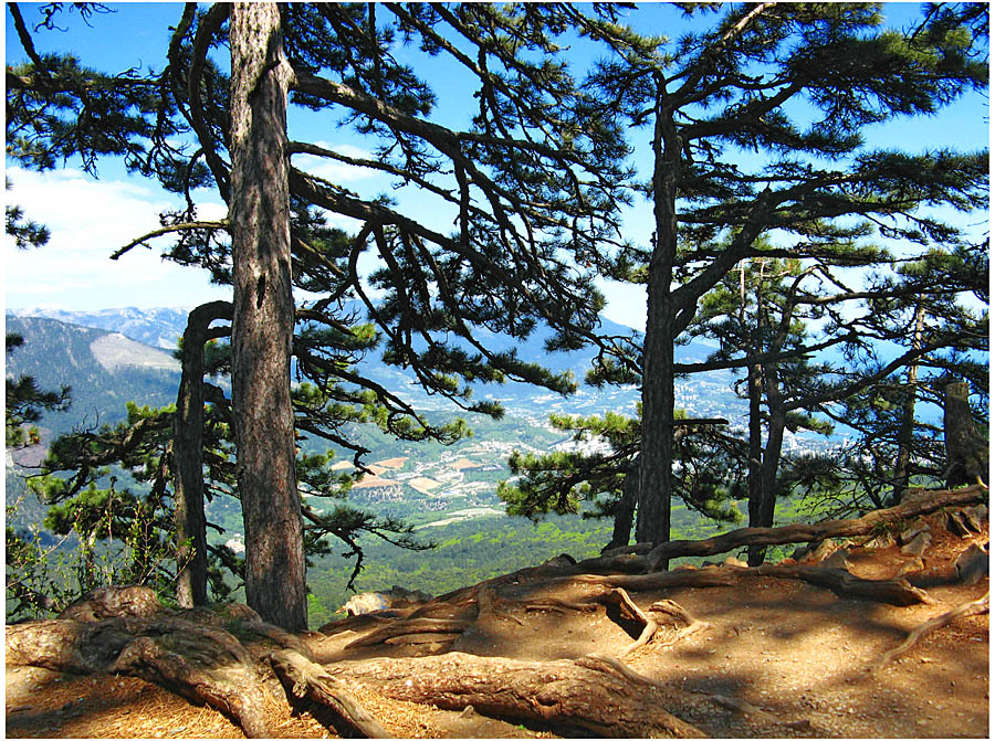 Крымский пейзаж