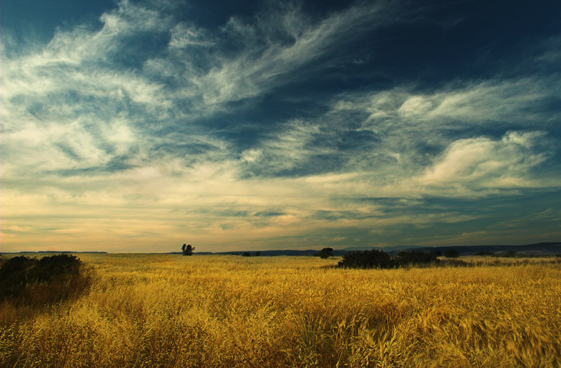 на исходе дня