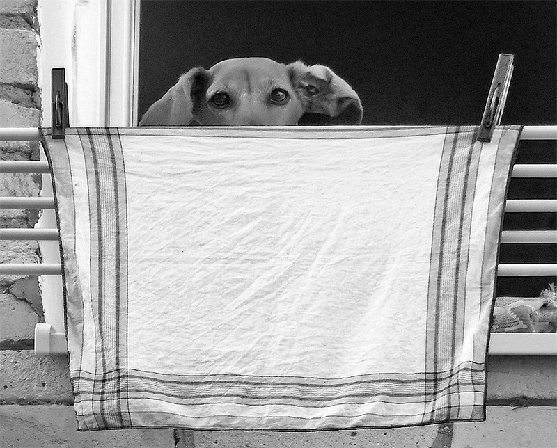 Кина?! - Не будет! :)