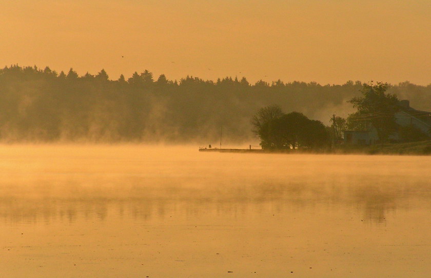 На досвiтку