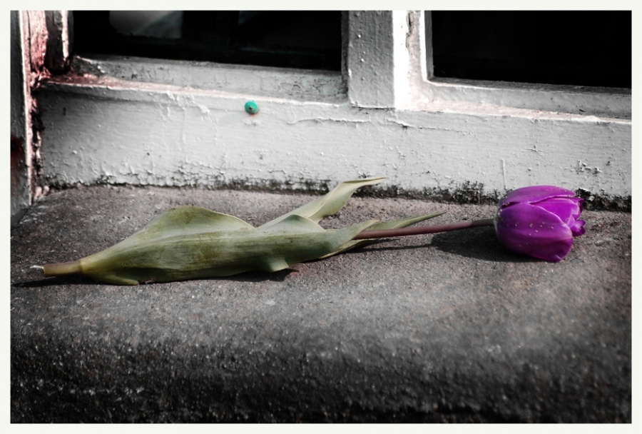 ...не пришла