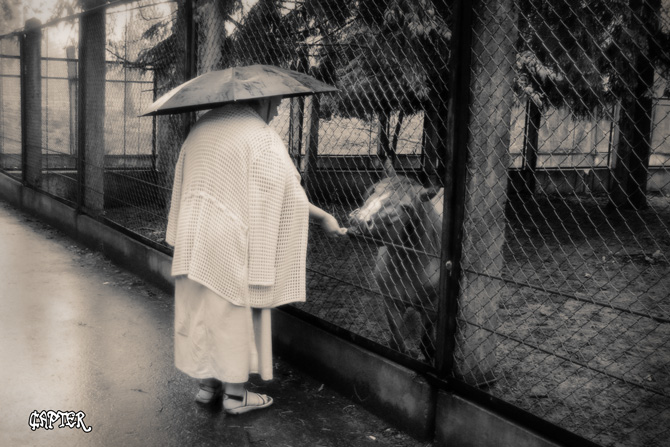 Самурай, отдающий последний кусок рисовой лепёшки Маленькой Лошади