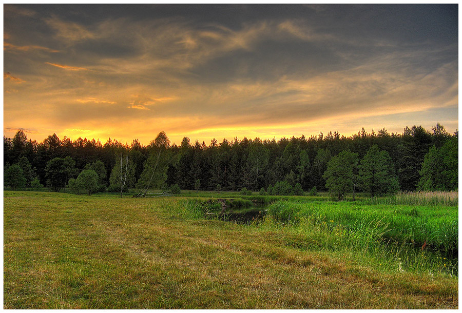 Июньский вечер