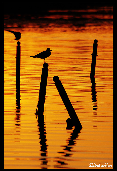 Знойная скука - 2