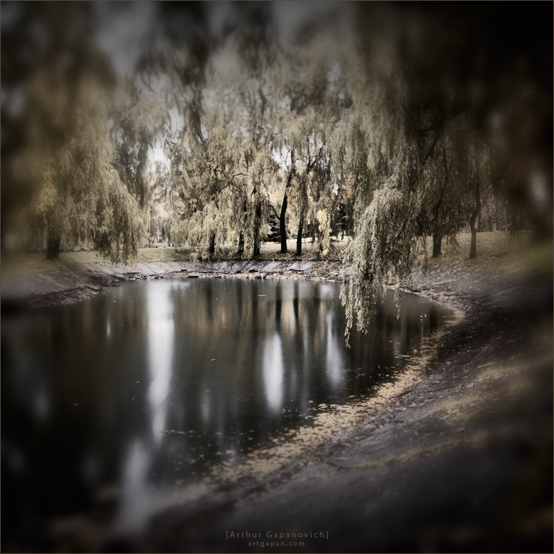 [ Н a l u c i n a t i O ]