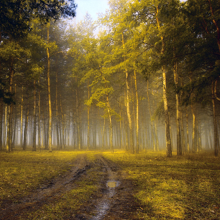 Доброе утро!