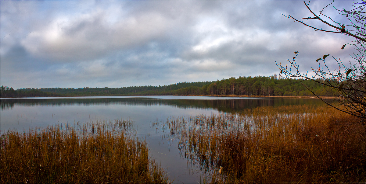 На озере лесном
