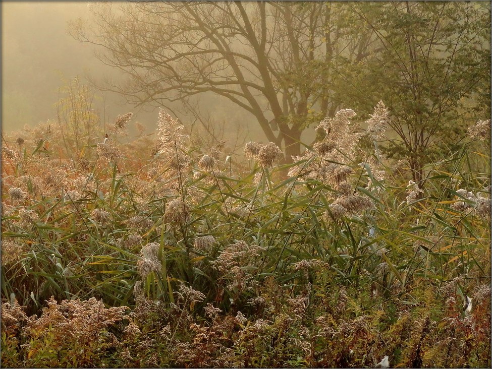 все, что нам осталось от лета ..3