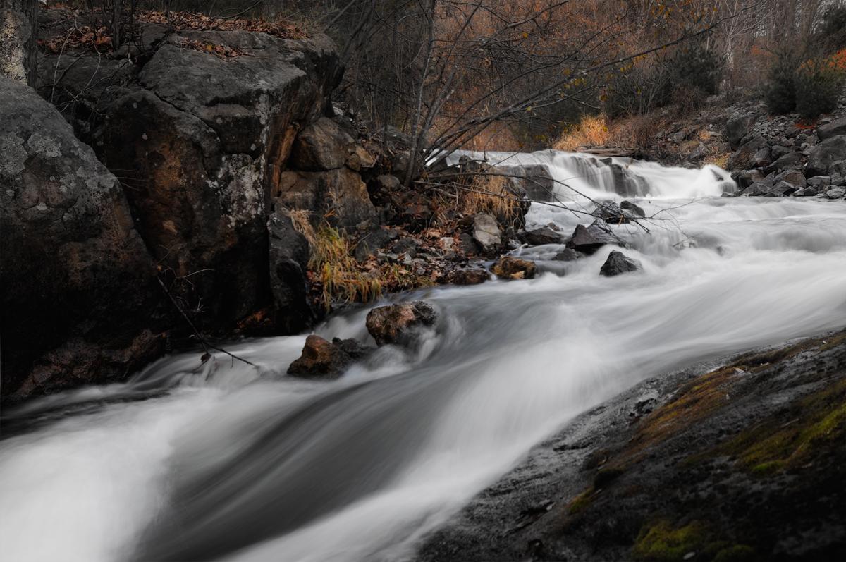 water shoots @ Montée Paiement