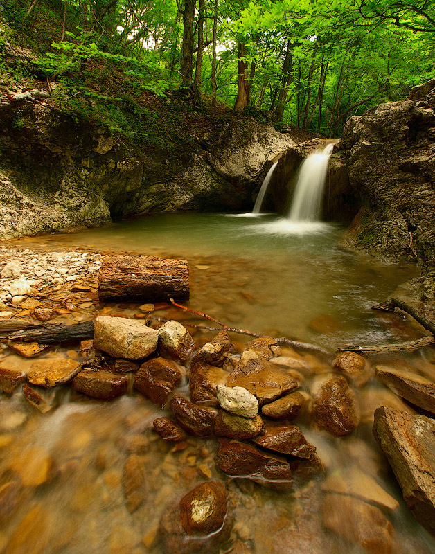Купель молодости