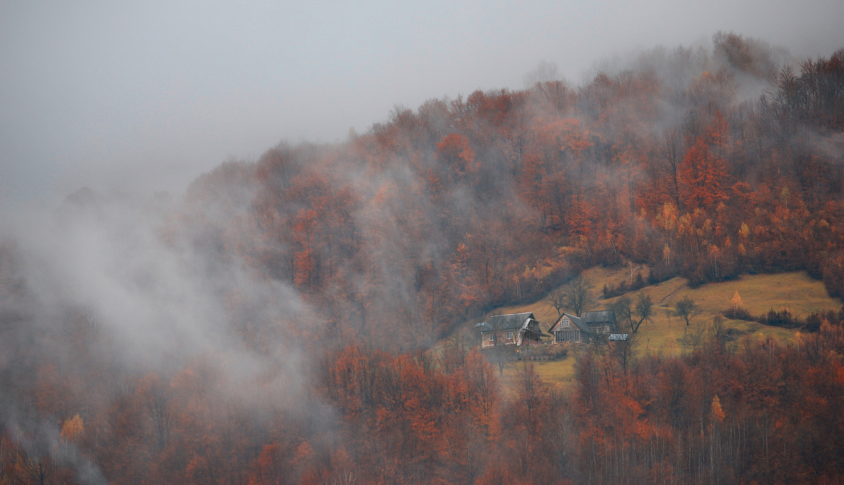 И осени яркий пожар...