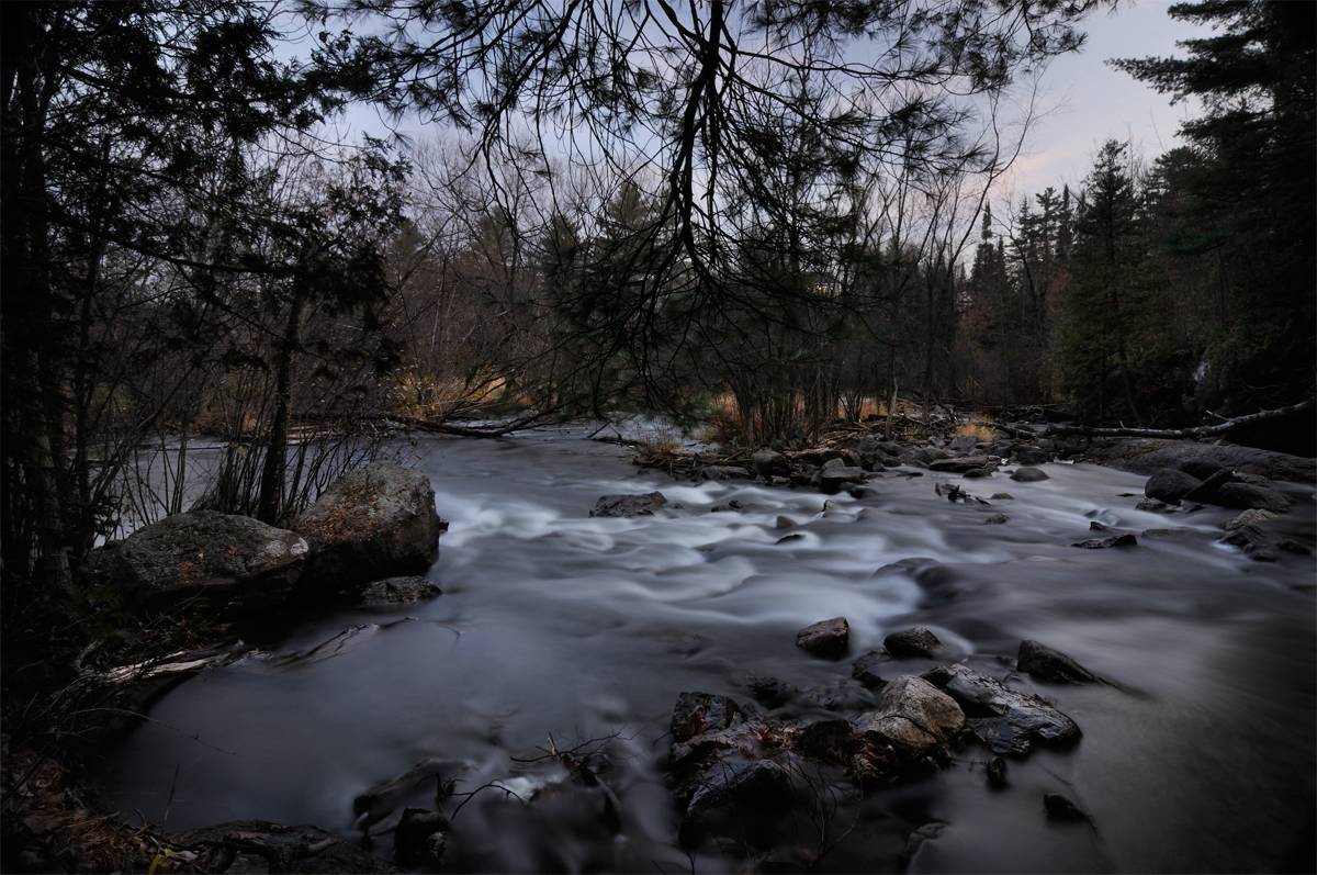 water shoots @ Montée Paiement