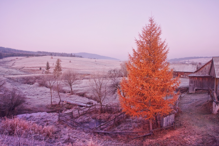 ..........Утренний пожар...........