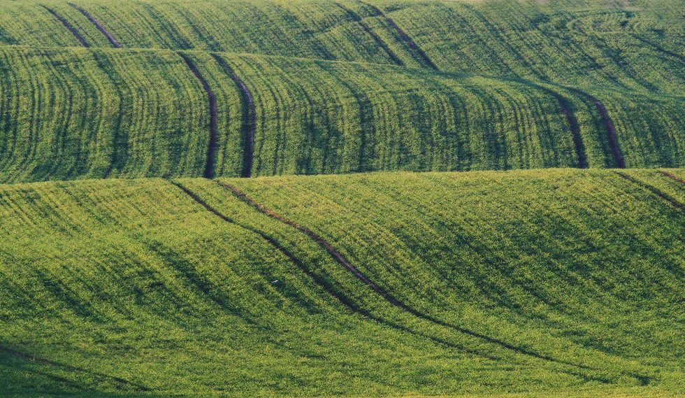 зеленая скатерть