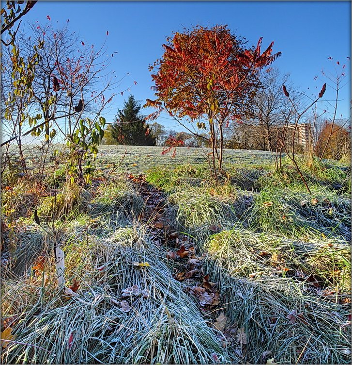 ..да, заморозки