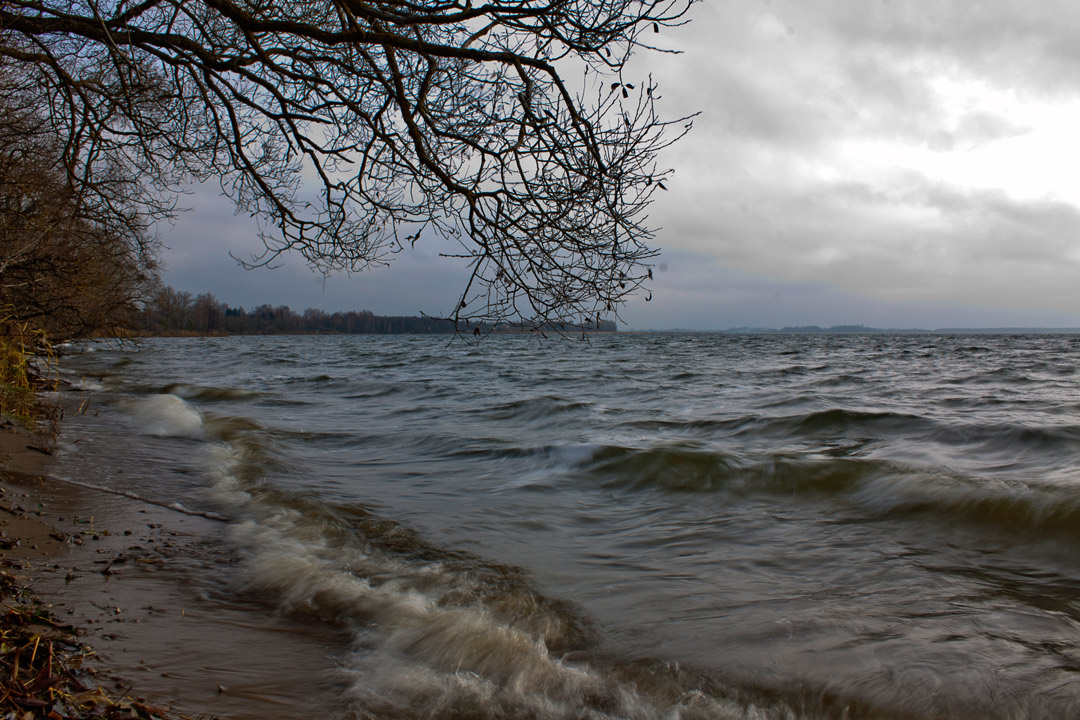 Перед  грозой