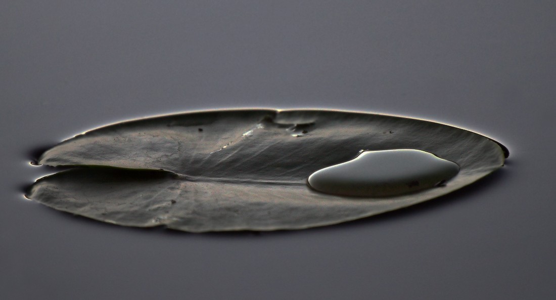 колыбелька