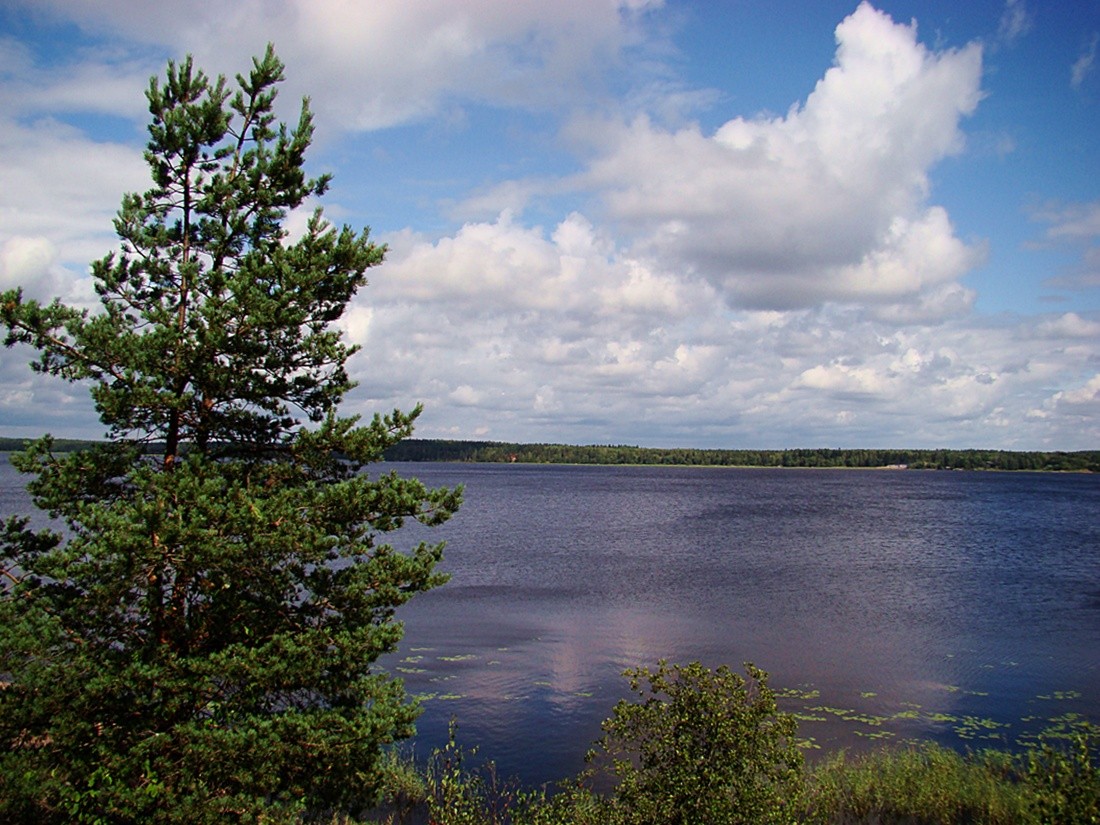 На просторах