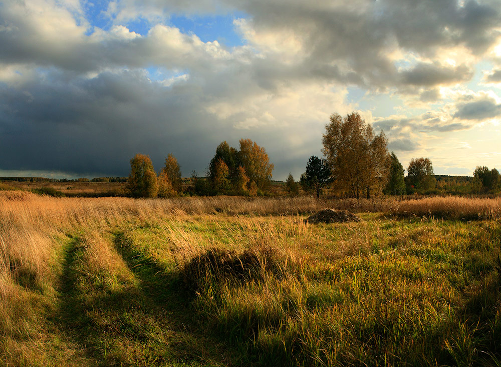 Вечерний этюд