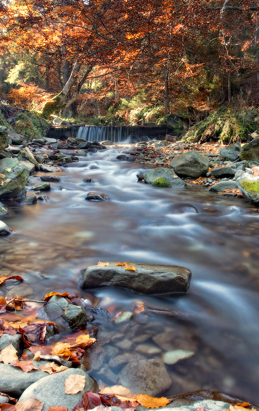 .........В Карпатской сказке........