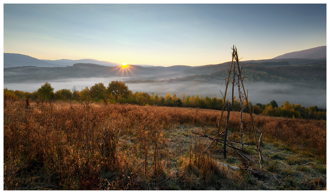 Утренняя зарисовочка...